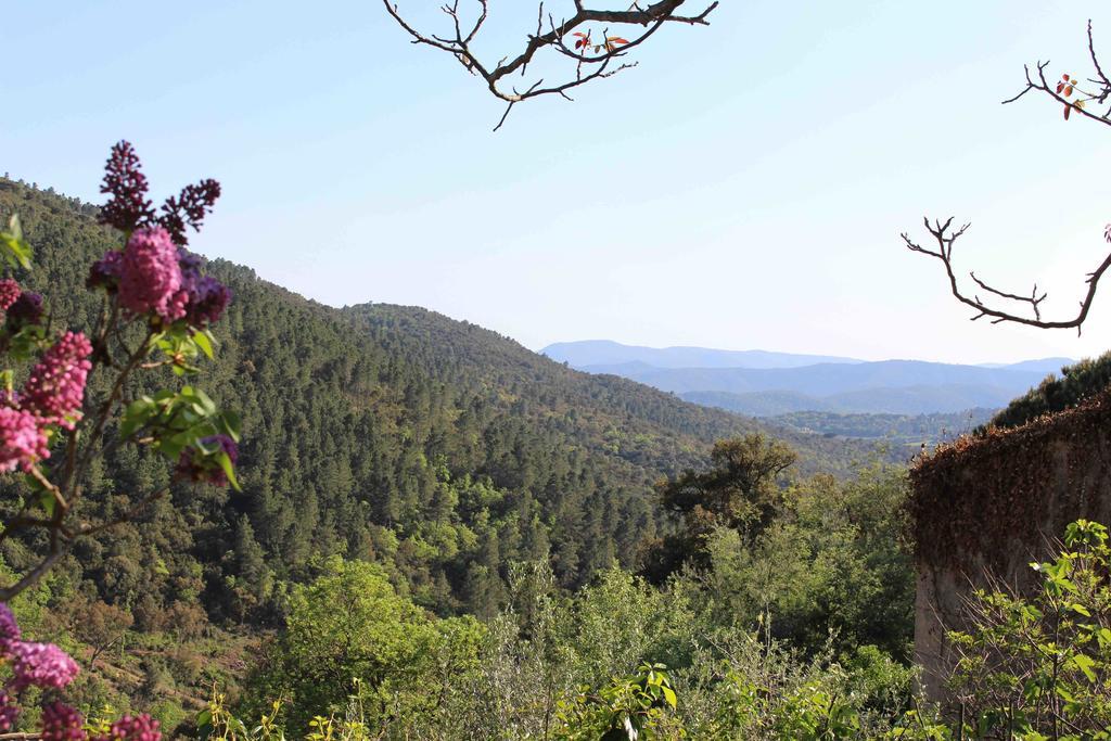 La Maison D'allouma * La Garde-Freinet