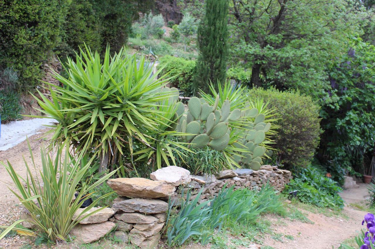 La Maison D'allouma Holiday home La Garde-Freinet
